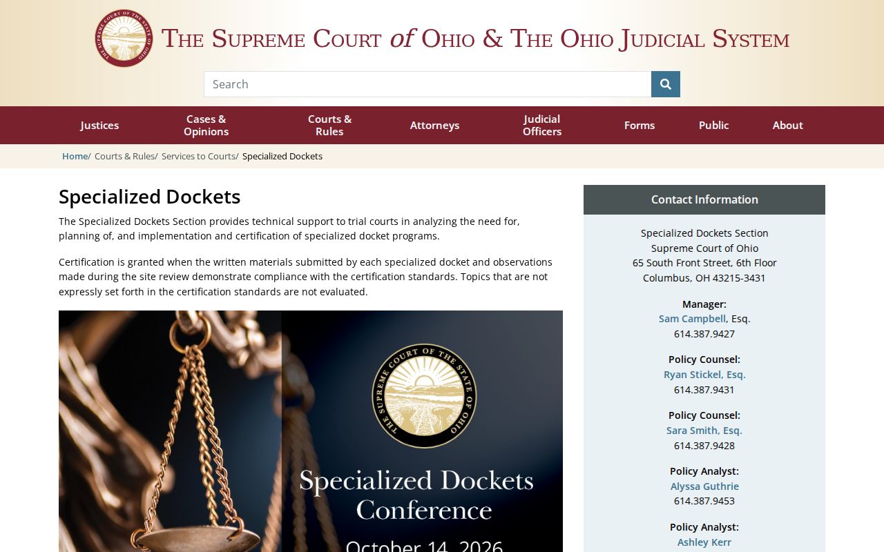 Wayne County criminal docket Ohio specialized dockets information