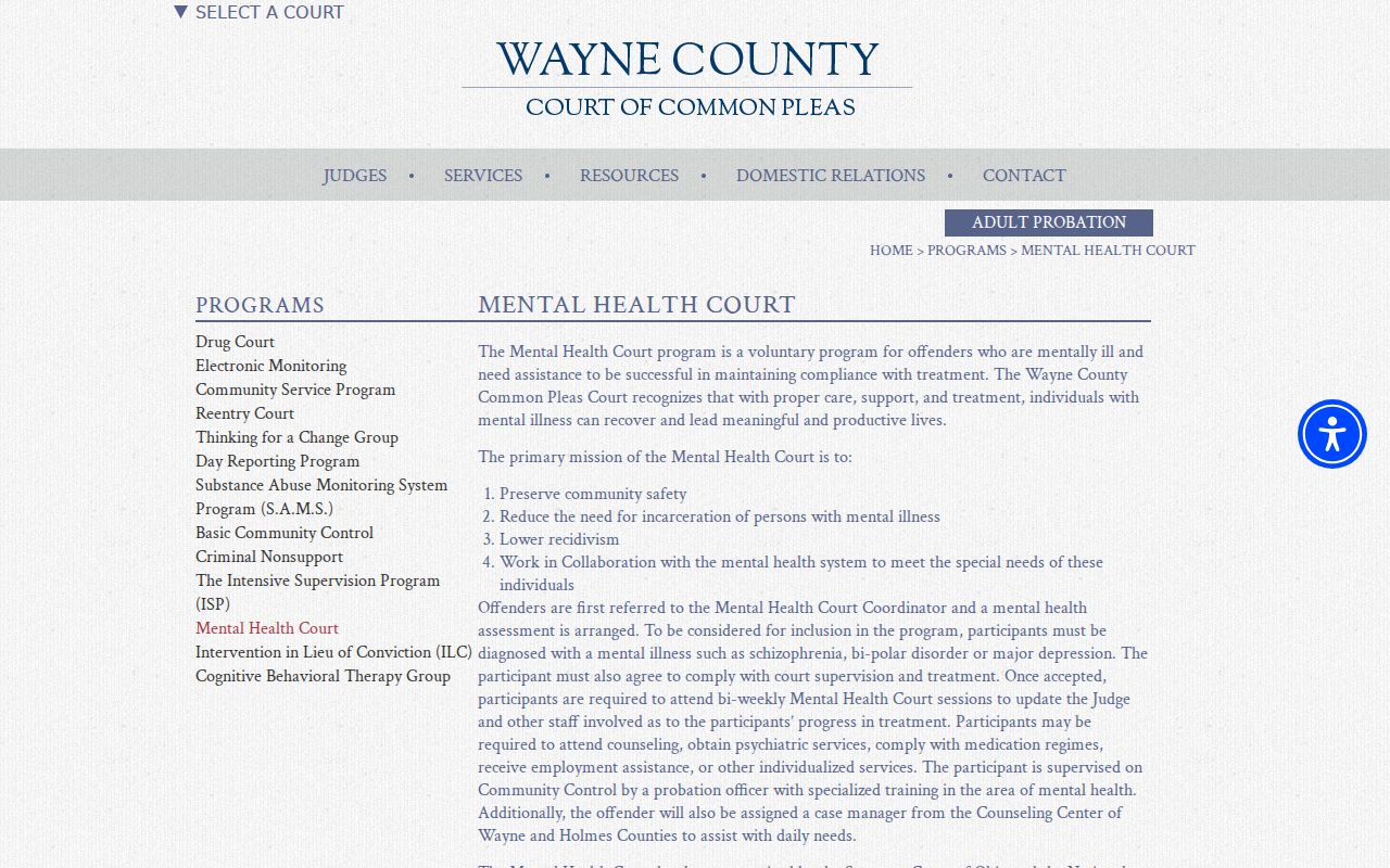 Wayne County criminal docket Mental Health Court program information