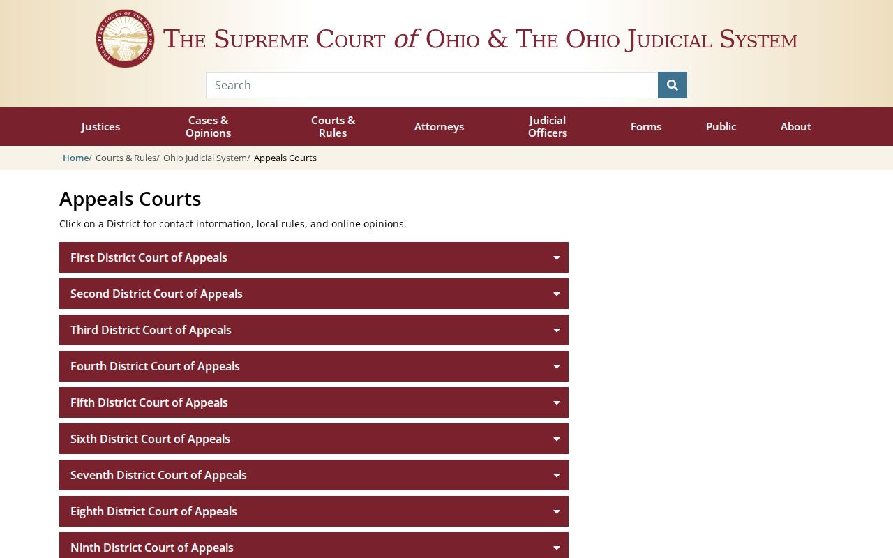 Wayne County court docket Ninth District Court of Appeals directory