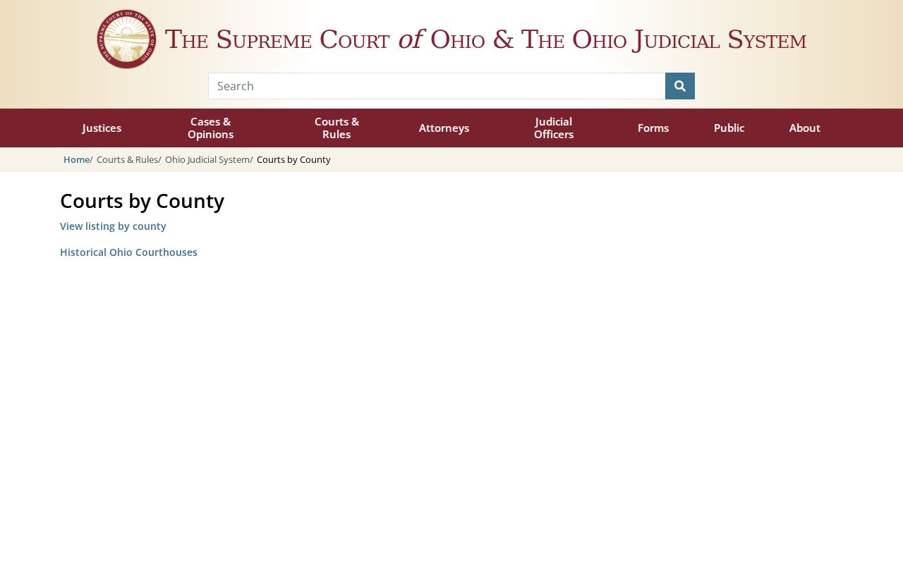 Wayne County court docket Ohio trial courts directory