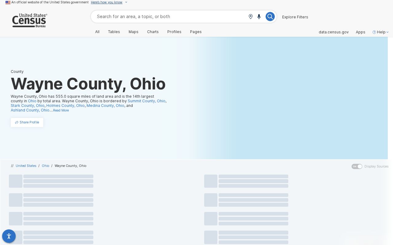 Wayne County court docket county population profile